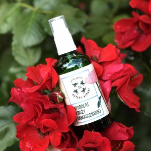 Naturalny hydrolat z róży damasceńskiej 4 szpaki